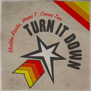 Turn It Down-Home T