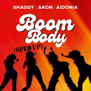 Boom Body