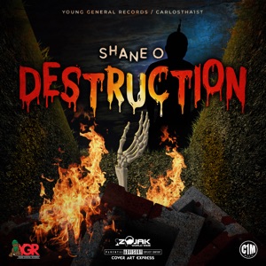 Destruction-Shane O