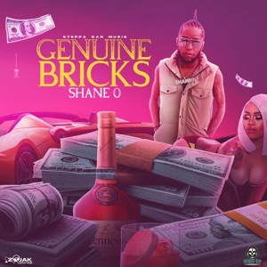 Genuine Bricks-Shane O