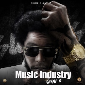 Music Industry-Shane O