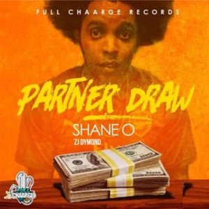 Partner Draw-Shane O