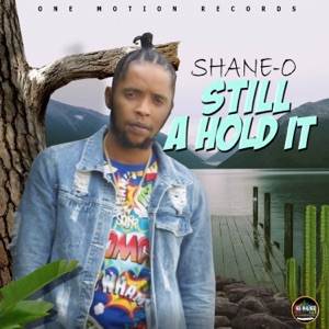 Still a Hold It-Shane O