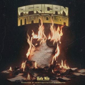 African Mandiba-Shatta Wale