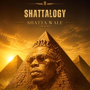 Shattalogy-Shatta Wale