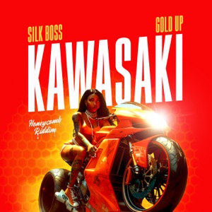 Kawasaki-Silk Boss