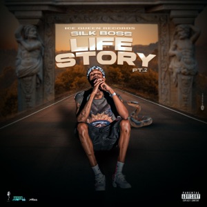 Life Story Part ll-Silk Boss