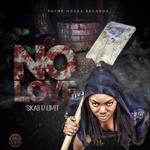 No Love-Skaii D Limit