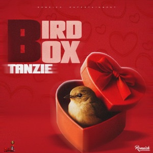 Bird Box