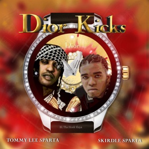 Dior Kicks-Tommy Lee Sparta