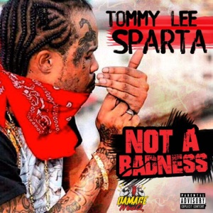 Not a Badness-Tommy Lee Sparta