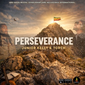 Perseverance-Torch
