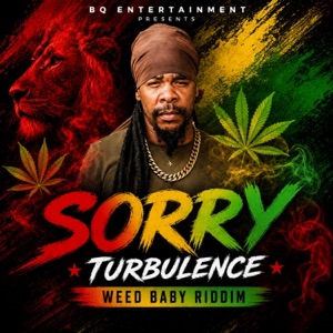 Sorry-Turbulence