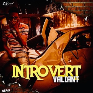 Introvert-Valiant