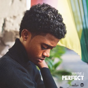 Perfect-Wayne J
