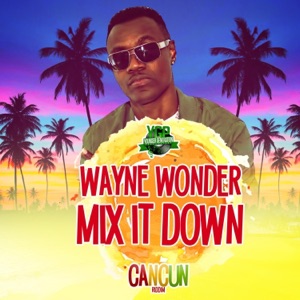 Mix It Down-Wayne Wonder