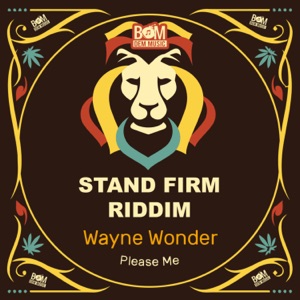 Please Me-Wayne Wonder