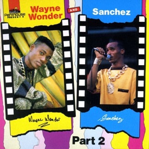 Wayne Wonder - Wayne Wonder & Sanchez, Pt. 2