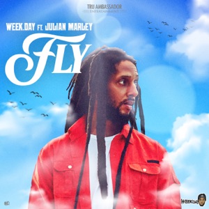 Fly-Weekday