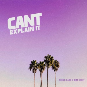 Can’t Explain It-Young Cake