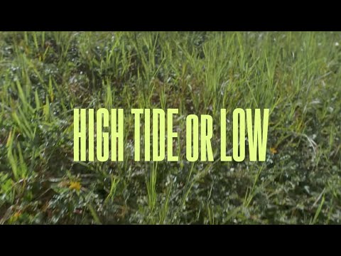 Jesse Royal High Tide or Low featuring Sa