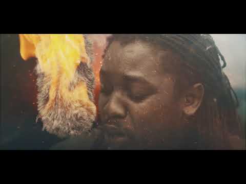 Pipelyne Never Give Up