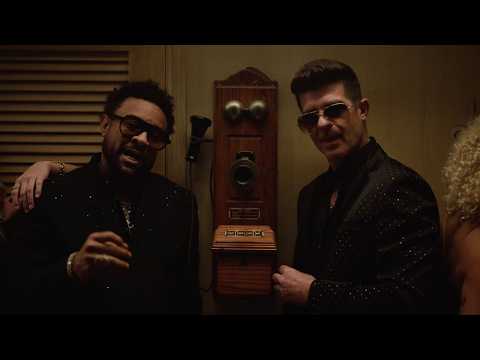 Shaggy Looking Lovely