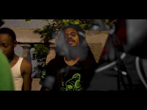 Survival  Roller Coaster